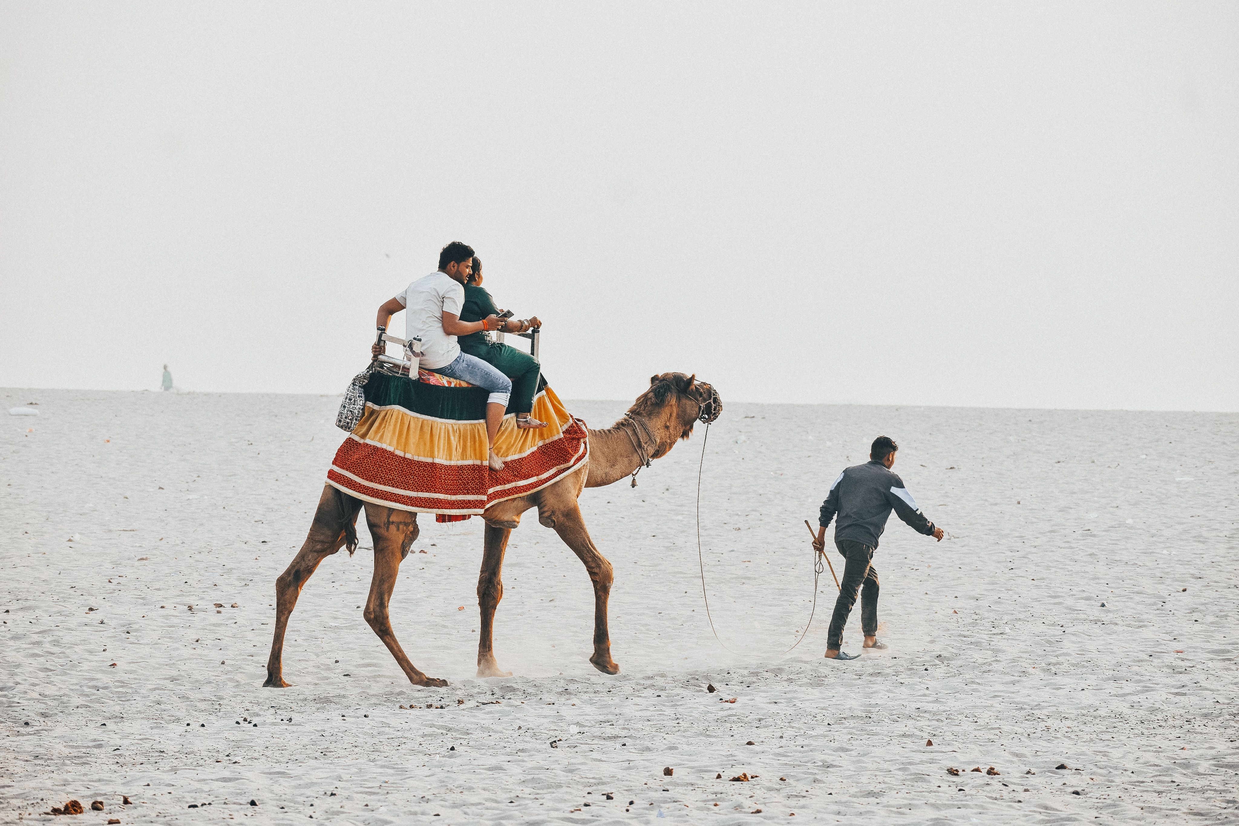 Rann of Kutch